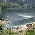 Egle