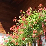 Διαμέρισμα Egle *