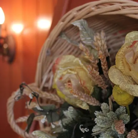 Apartment Egle Antronapiana